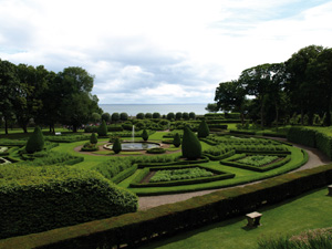 The Scottish Arboricultural Association