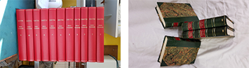 Set of British Birds books into half bound goat and marble paper covers img