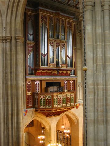Organ_1