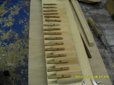 organ3