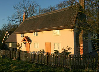 thatch2