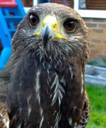 Ecclesiastical & Heritage World East Riding Pest Control