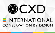 CXDA